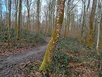 Afbeelding van WhatsApp op 2025-03-12 om 18.29.00_f8ba0b4d