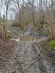 Afbeelding van WhatsApp op 2025-03-14 om 17.43.23_13dfaeeb