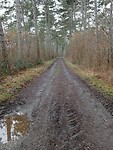 Afbeelding van WhatsApp op 2025-03-14 om 17.43.23_914ede03