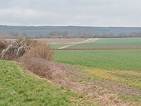 Afbeelding van WhatsApp op 2025-03-14 om 17.43.26_d561e210