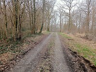 Afbeelding van WhatsApp op 2025-03-15 om 20.11.23_4bf030ef