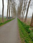 Afbeelding van WhatsApp op 2025-03-25 om 22.34.35_3ddffdcd