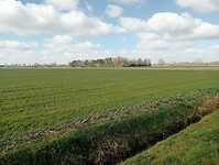 Afbeelding van WhatsApp op 2025-03-29 om 13.57.26_05010a29