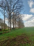 Afbeelding van WhatsApp op 2025-03-29 om 13.57.26_f7537a62