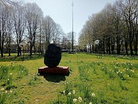 Afbeelding van WhatsApp op 2025-04-04 om 14.27.22_0543fc62