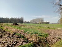 Afbeelding van WhatsApp op 2025-04-04 om 14.27.22_cc58e888