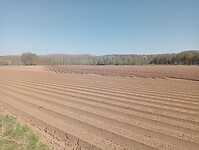 Afbeelding van WhatsApp op 2025-04-05 om 16.01.40_d4059f4e