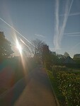 Afbeelding van WhatsApp op 2025-04-08 om 17.27.08_08a3853e