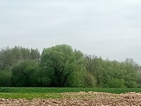 Afbeelding van WhatsApp op 2025-04-10 om 16.09.53_e609ced5