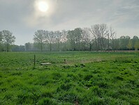 Afbeelding van WhatsApp op 2025-04-18 om 22.58.27_5dba75e5