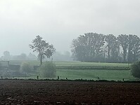 Afbeelding van WhatsApp op 2025-04-25 om 17.10.56_29cf66f9