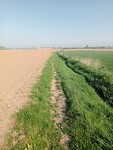 Afbeelding van WhatsApp op 2025-04-28 om 17.18.02_53546060