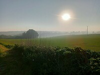 Afbeelding van WhatsApp op 2025-04-28 om 17.18.06_a4959b09