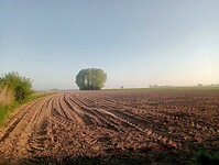 Afbeelding van WhatsApp op 2025-04-28 om 17.18.07_2717713a