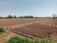 Afbeelding van WhatsApp op 2025-04-30 om 16.51.13_23b6d434