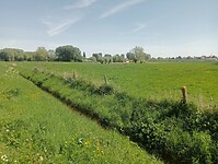 Afbeelding van WhatsApp op 2025-04-30 om 16.51.14_b99327d5