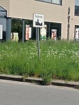 Afbeelding van WhatsApp op 2025-05-02 om 18.42.20_d6ca2ddc