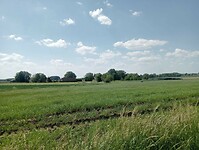 Afbeelding van WhatsApp op 2025-05-09 om 20.12.17_e19b5308