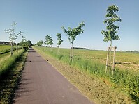 Afbeelding van WhatsApp op 2025-05-09 om 20.12.19_1ae181c7