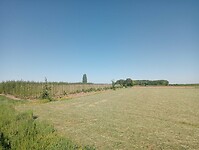 Afbeelding van WhatsApp op 2025-05-09 om 20.12.19_f7d1ebd4