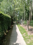 IMG-20250511-WA0005