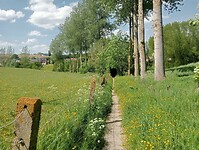 IMG-20250511-WA0008
