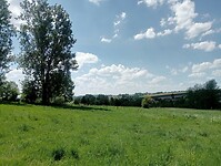 IMG-20250511-WA0009