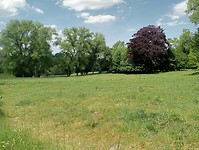IMG-20250511-WA0010