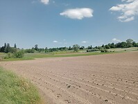 IMG-20250511-WA0012