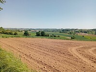 IMG-20250511-WA0013