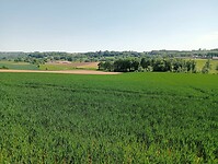 IMG-20250511-WA0014