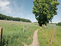 IMG-20250511-WA0015