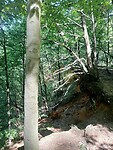 IMG-20250511-WA0018
