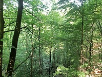 IMG-20250511-WA0019