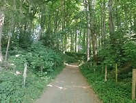 IMG-20250511-WA0020