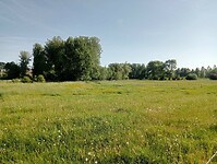 IMG-20250511-WA0031
