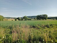 IMG-20250511-WA0032