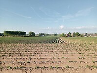 IMG-20250511-WA0034
