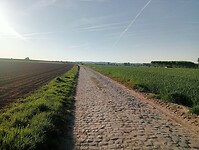 IMG-20250511-WA0036