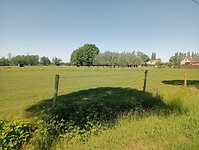 Afbeelding van WhatsApp op 2025-05-12 om 15.07.22_a9a6cd72