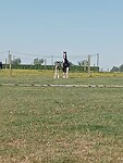Afbeelding van WhatsApp op 2025-05-12 om 15.07.24_338eccc6