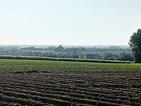 Afbeelding van WhatsApp op 2025-05-12 om 15.07.24_a240919d