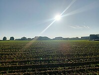 Afbeelding van WhatsApp op 2025-05-12 om 15.07.25_255ef842