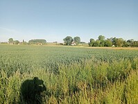 Afbeelding van WhatsApp op 2025-05-12 om 15.07.25_574983f3