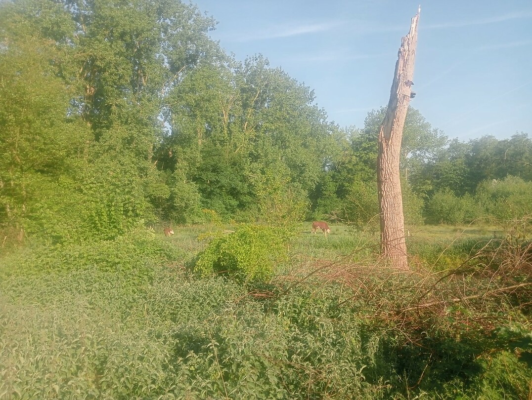 Afbeelding van WhatsApp op 2025-05-13 om 16.05.31_468cb84f