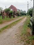 Afbeelding van WhatsApp op 2025-05-15 om 16.31.19_d67ff46e