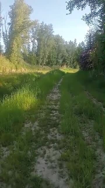 Video van WhatsApp op 2025-05-16 om 14.08.59_35eb5951
