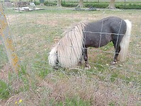 Afbeelding van WhatsApp op 2025-05-18 om 17.18.23_5cf75fcf