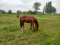 Afbeelding van WhatsApp op 2025-05-18 om 17.18.36_db5465ab