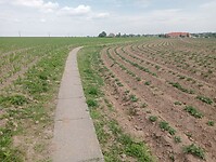 Afbeelding van WhatsApp op 2025-05-21 om 19.35.12_1d1b7f68